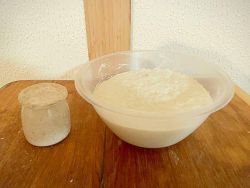 What is the difference between a poolish and a leaven?