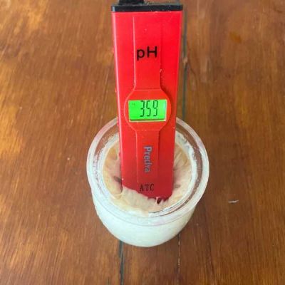 The pH Of Sourdough Bread