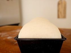 Dough fully proofed