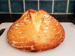 Sourdough Bread Troubleshooting