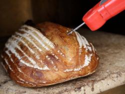 Taking the temperature of bread using a probe