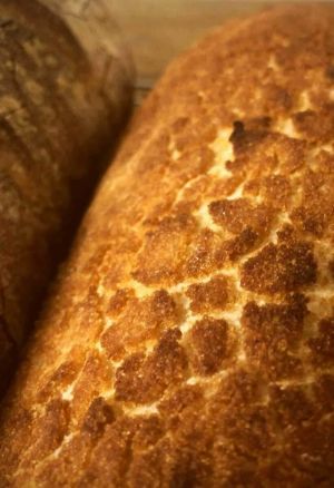 Tiger Bread