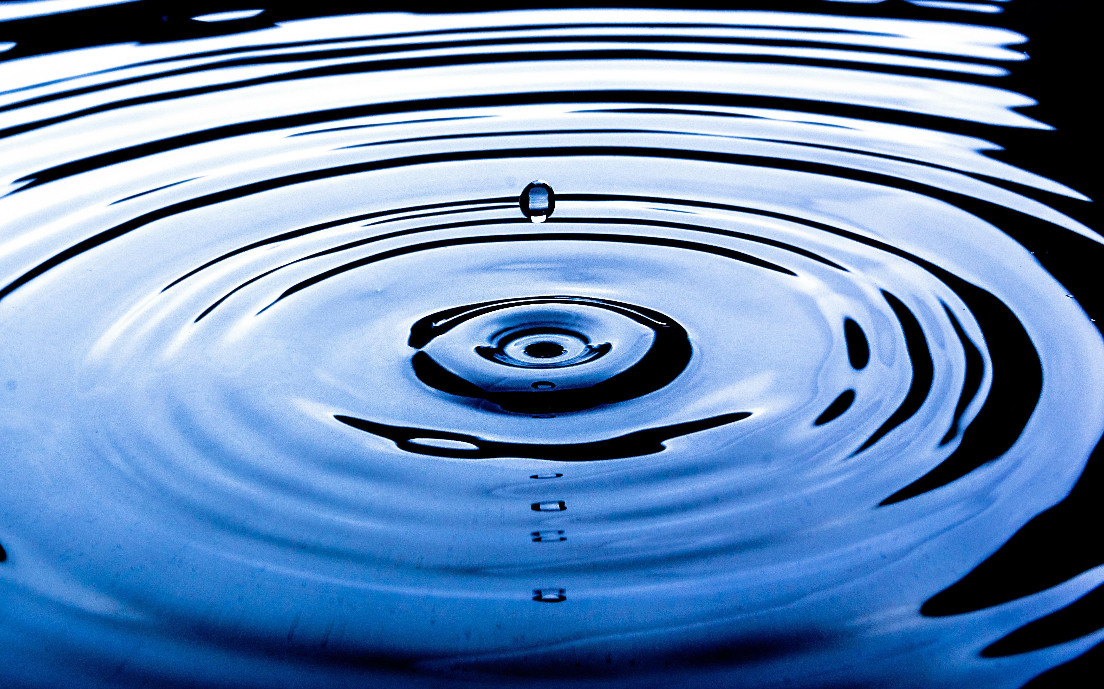 water in bread bread baking artisan bread baking