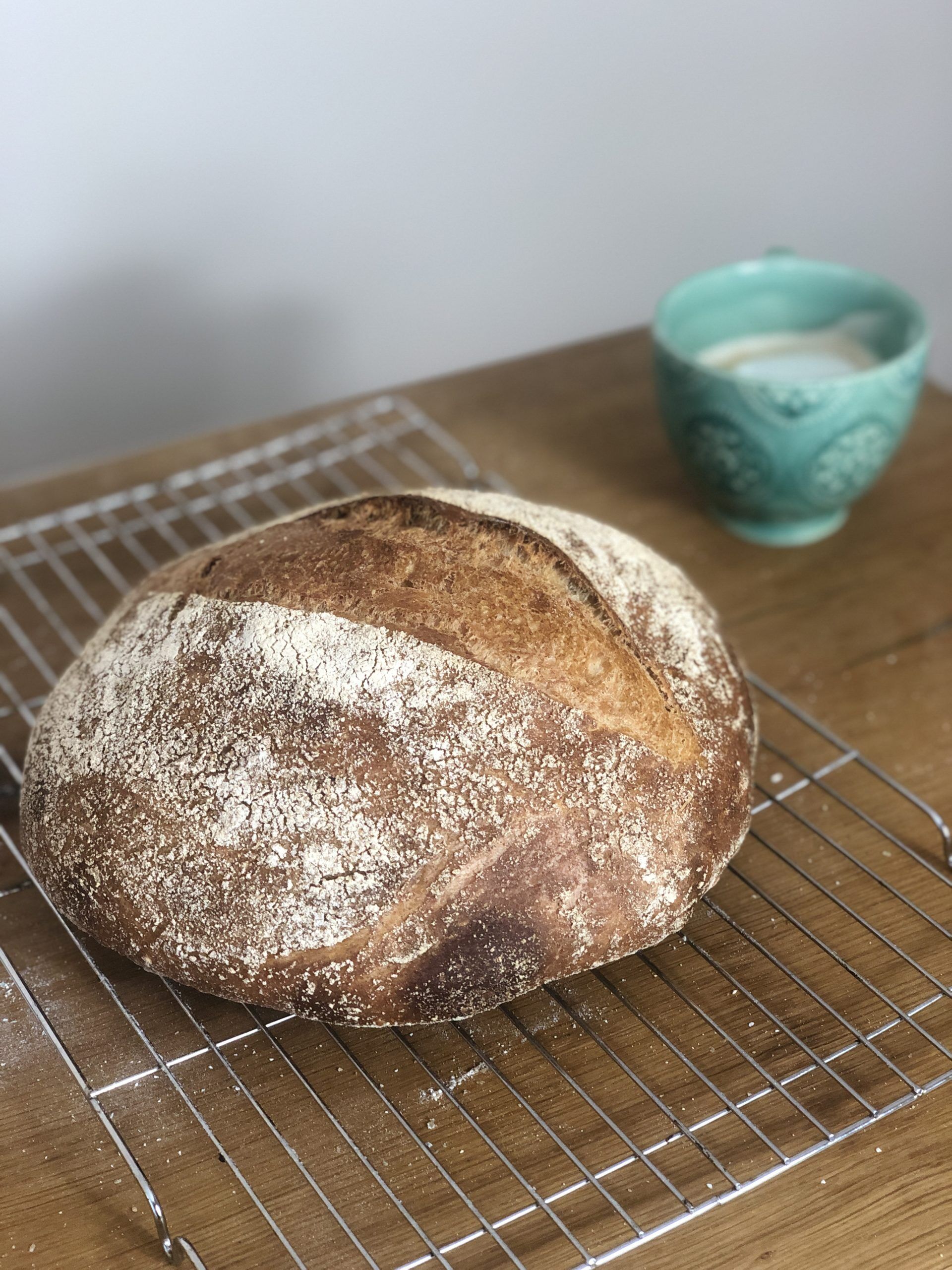 rustic italian bread pane rustique