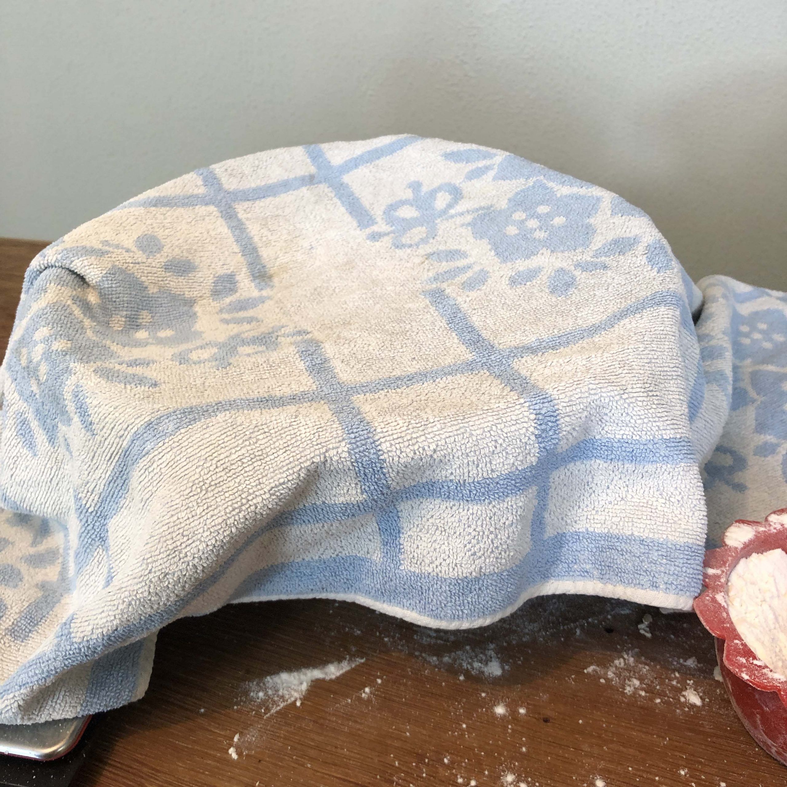sourdough covered sourdough bulk fermentation