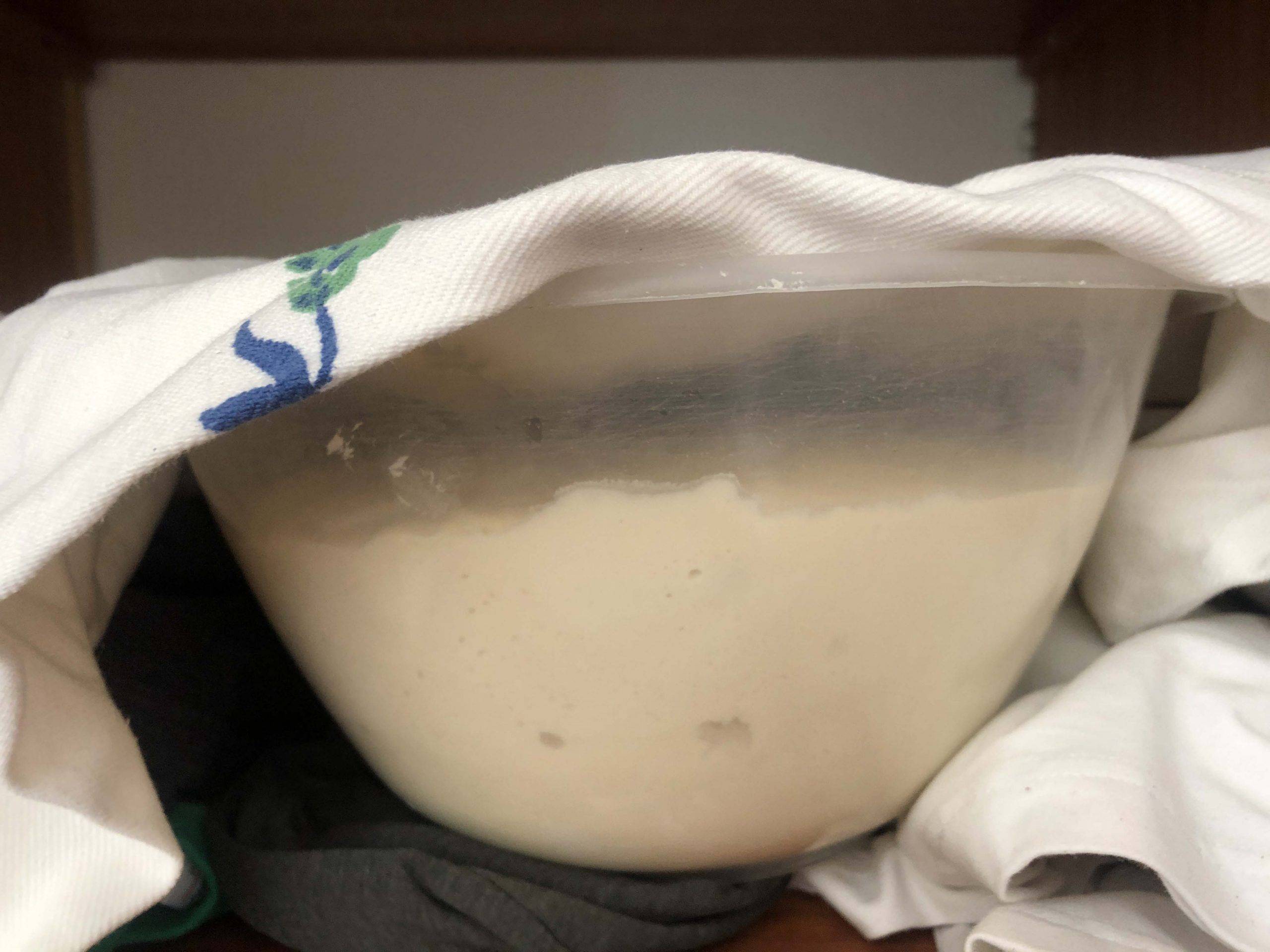 sourdough in the fridge retard sourdough bread dough having a fridge retard