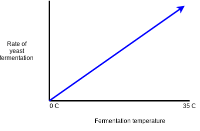 Graph showing the relationship of temperature and fermentation rates