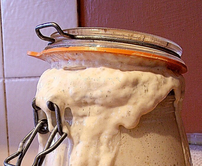 Sourdough starter