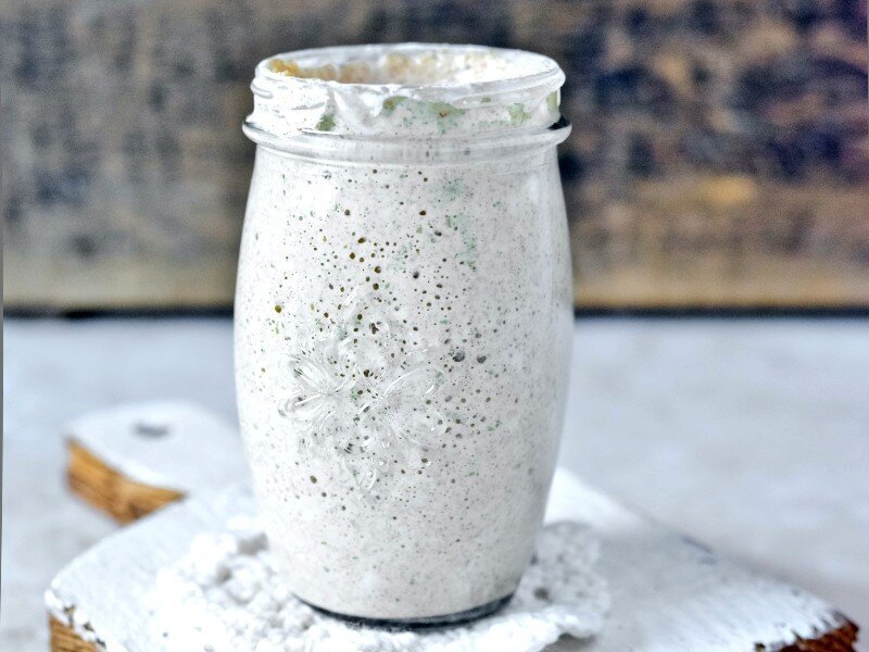 Sourdough starter fridge or counter