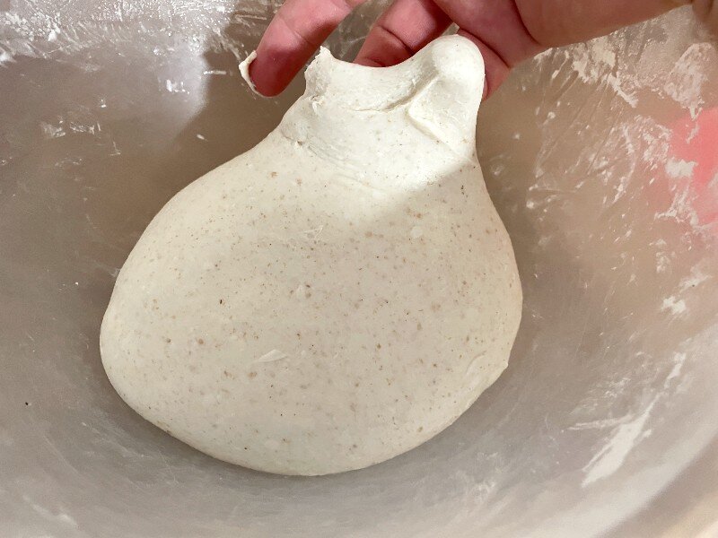 The dough is ready for shaping!