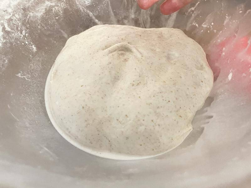 Stretch and fold the dough to absorb the water